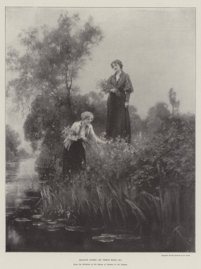 Moerasspirea door Henry John Yeend King